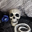 halloween decoration skeleton