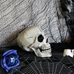 halloween decoration customized