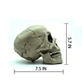 skeleton halloween decoration